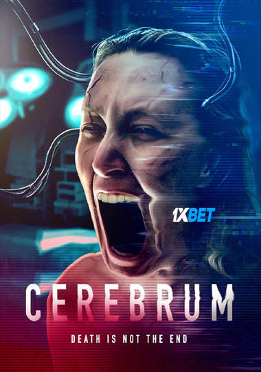 cerebrum